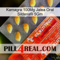 Kamagra 100Mg Oral Jelly Sildenafil 5Gm new01